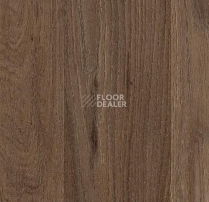 Линолеум Forbo SureStep Wood 18792 dark oak фото 1 | FLOORDEALER